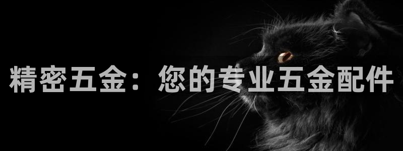 天狮娱乐是做什么的